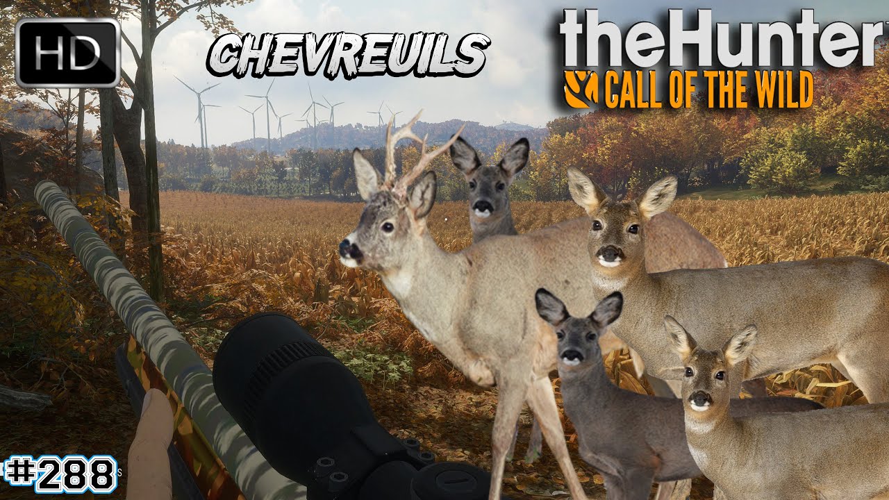 THEHUNTER CALL OF THE WILD #288 UNE CHASSE AU CHEVREUIL AVEC NOTRE CHASSEUSE SUR HIRSCHFELDEN