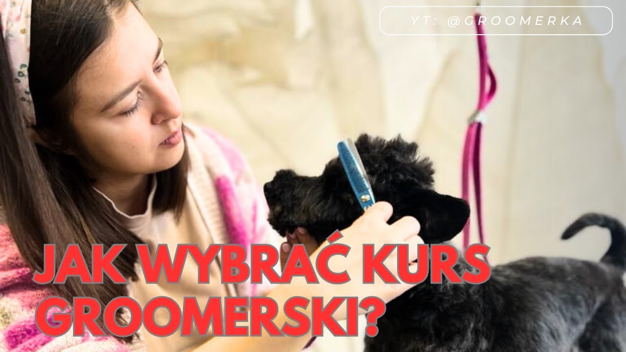 Jak wybrać odpowiedni kurs groomerski?