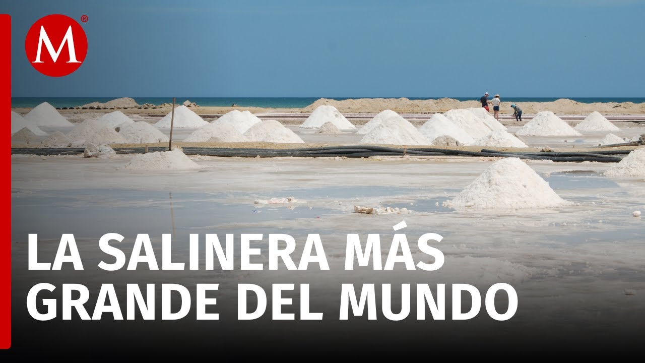 Exportadora de Sal recupera mercado tras salida de Mitsubishi y crisis por acumulación