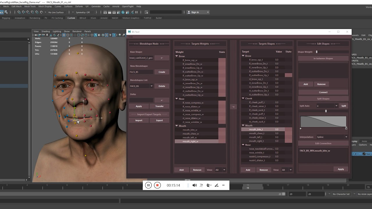 Rigging Tool Dev, BS Tool, Skin Tool