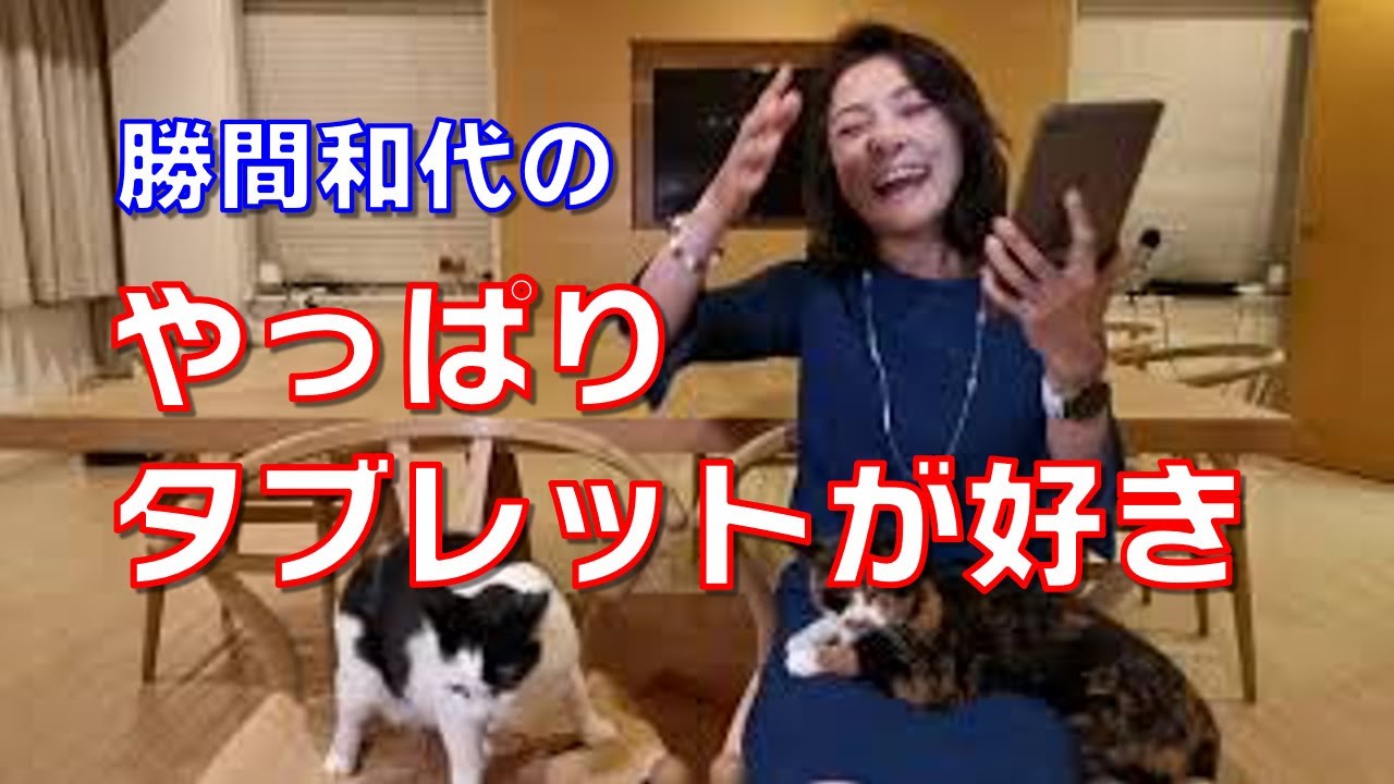 やっぱりタブレットが好き。家の中で使ったり、泊まりで持ち歩くのにスマホよりもパソコンよりもはるかに便利で使いやすいです。