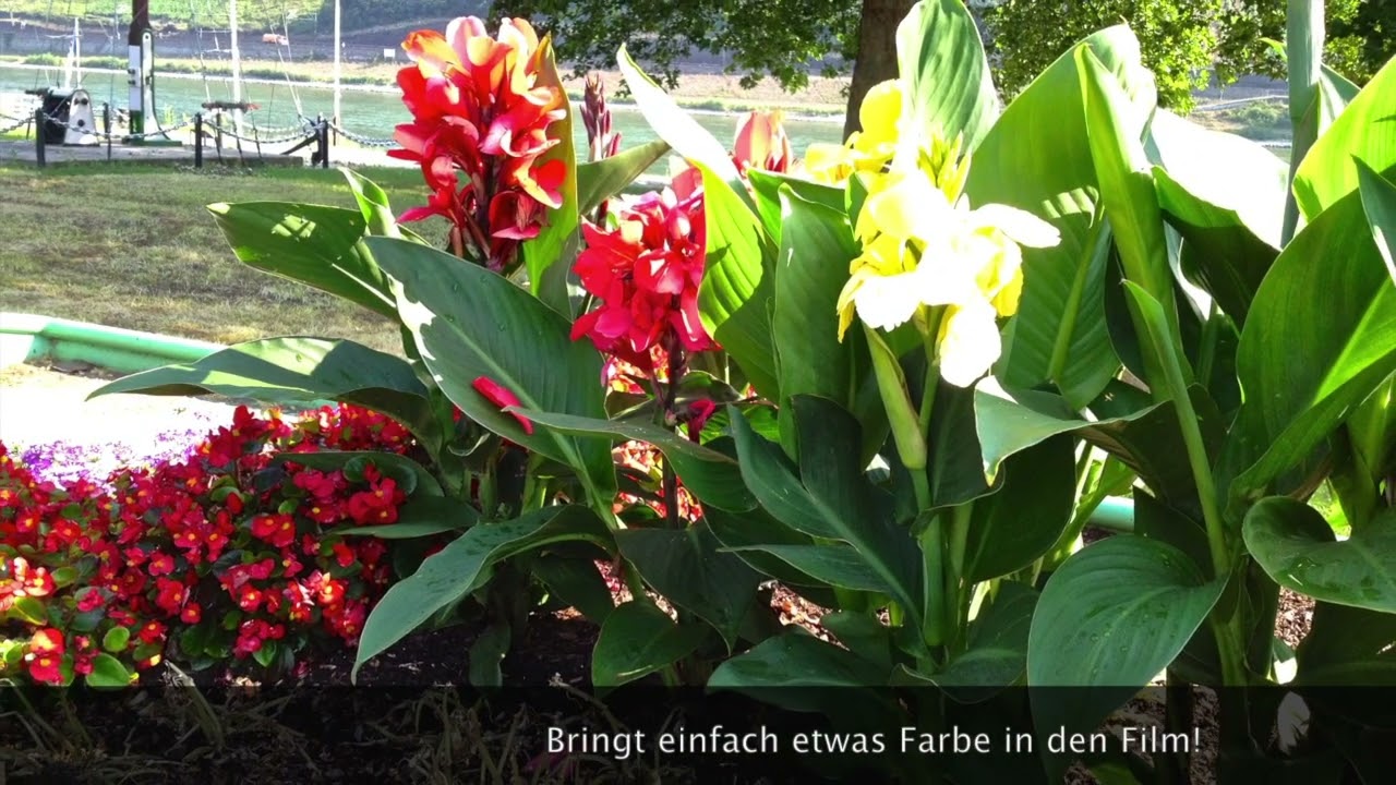 Radtour Boppard Pfalzfeld 28.07.2012