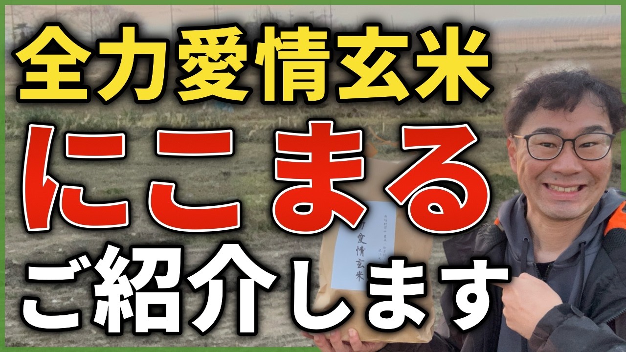 全力愛情玄米「にこまる」をご紹介します