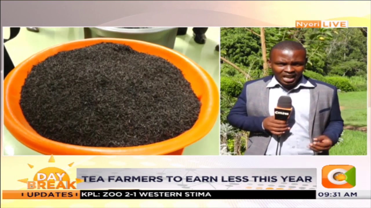 Farmers to earn less this year as tea prices decline