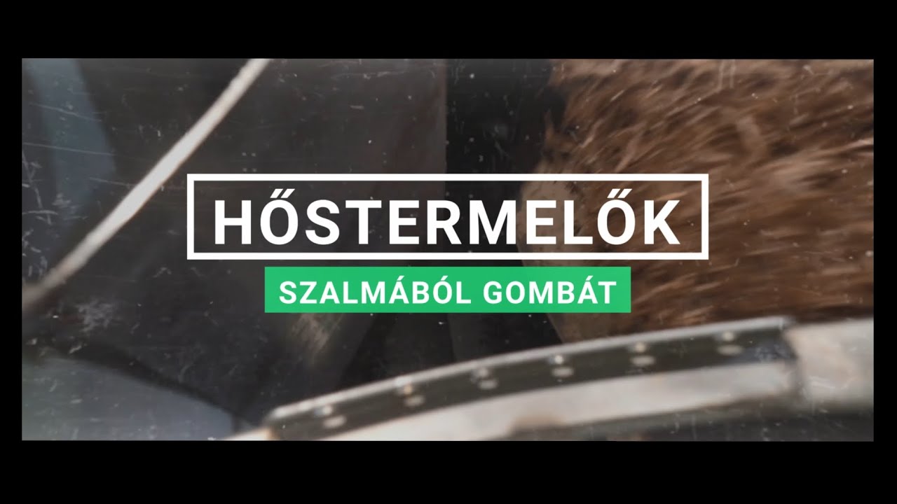 HŐSTERMELŐK #2 - Szalmából gombát.