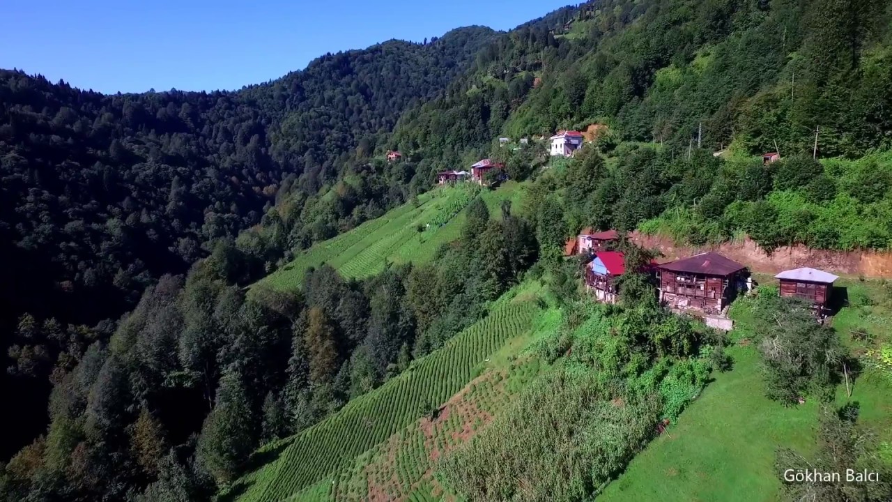 Kaptanpaşa-Şen Mahallesi (RİZE/ÇAYELİ)