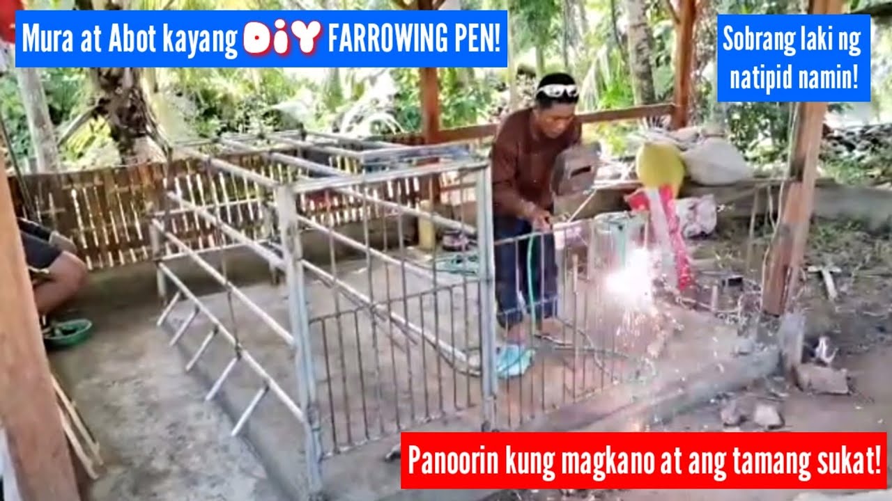 Mura at Abot kayang DiY FARROWING PEN 2023!