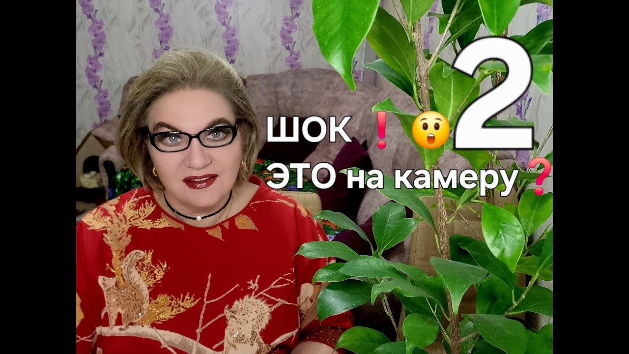 ШОК❗😮ЭТО на камеру❓