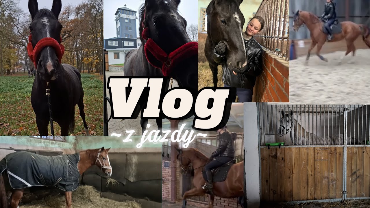 VLOG Z JAZDY (JASZKOWO CENTRUM HIPKI😻) 