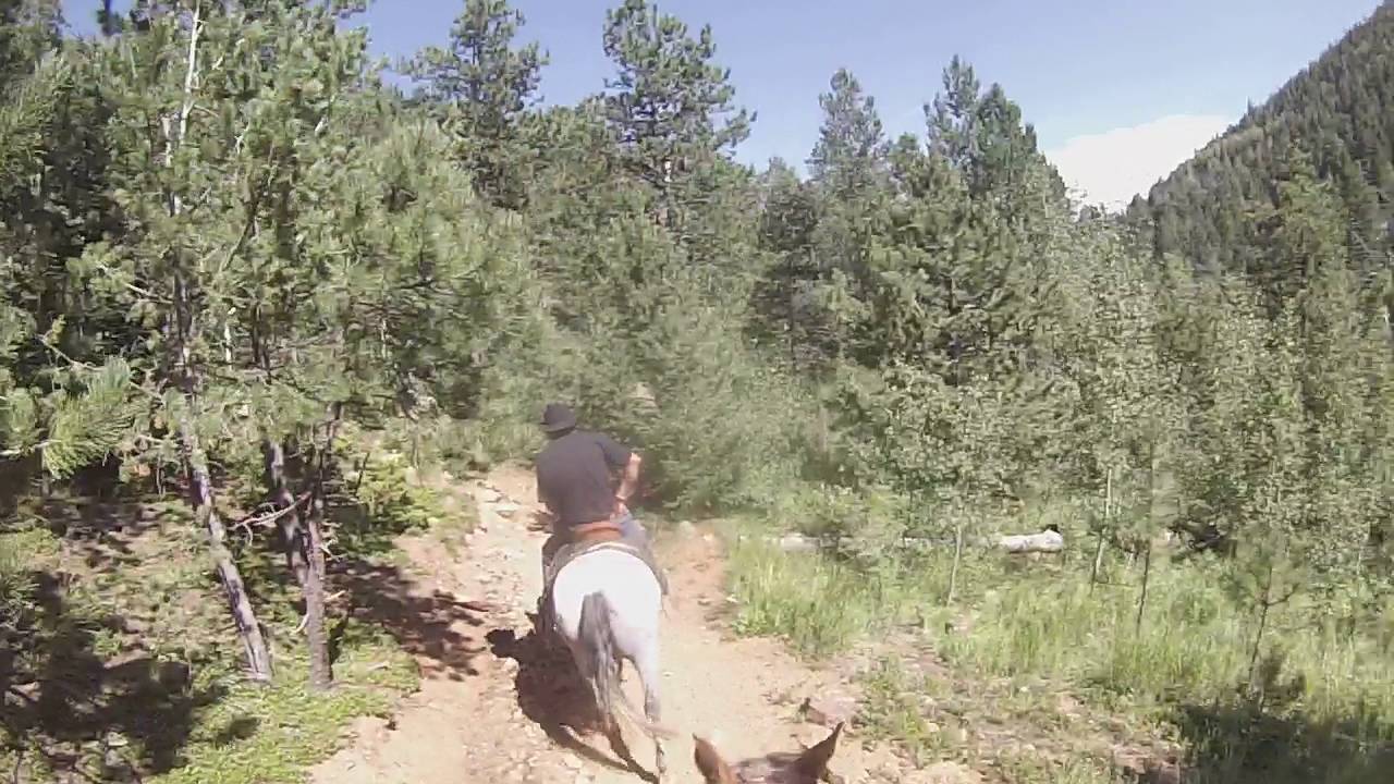 Capt Jacks Trail, USFS trail 667, Colorado Springs, CO