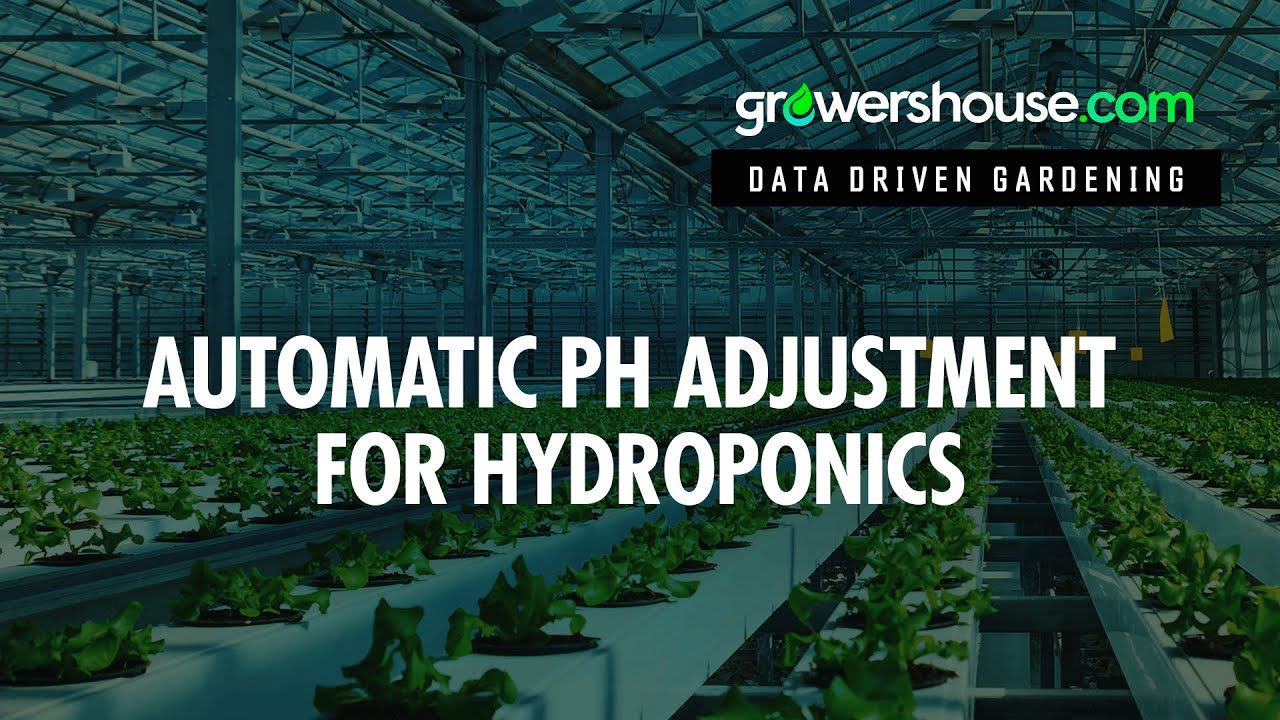 Perfect pH Hydroponics Automatic pH Adjustment Technology Review and Test of Zelda Horticulture