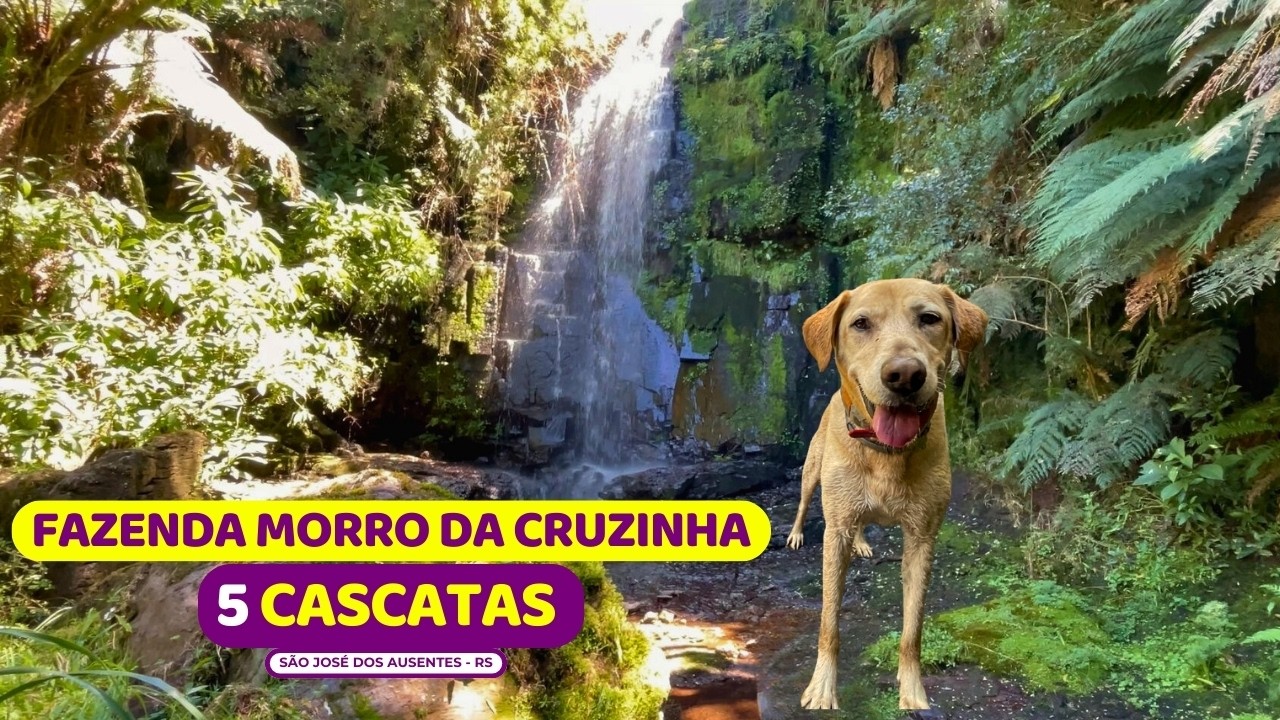 😱 ÚNICA com 5 CASCATAS:  Fazenda Morro da Cruzinha | São José dos Ausentes