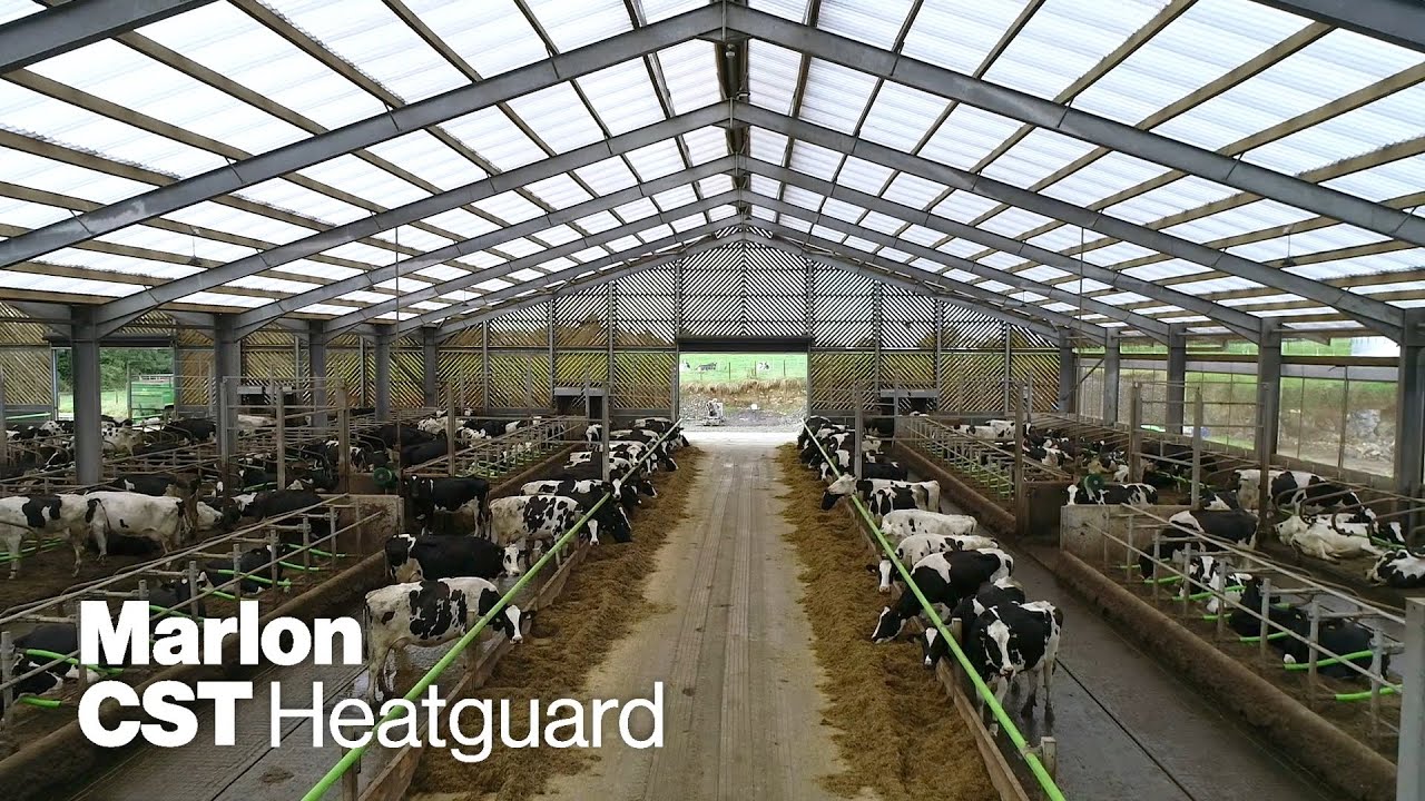 Bingham's Farm - Marlon CST Heatguard used for large dairy shed