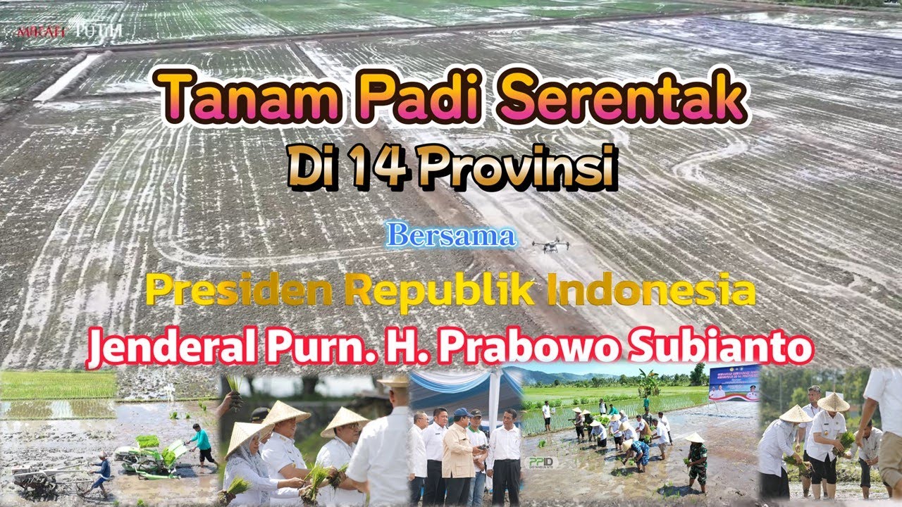 Tanaman Padi Serentak di 14 Provinsi bersama Presiden Prabowo Subianto
