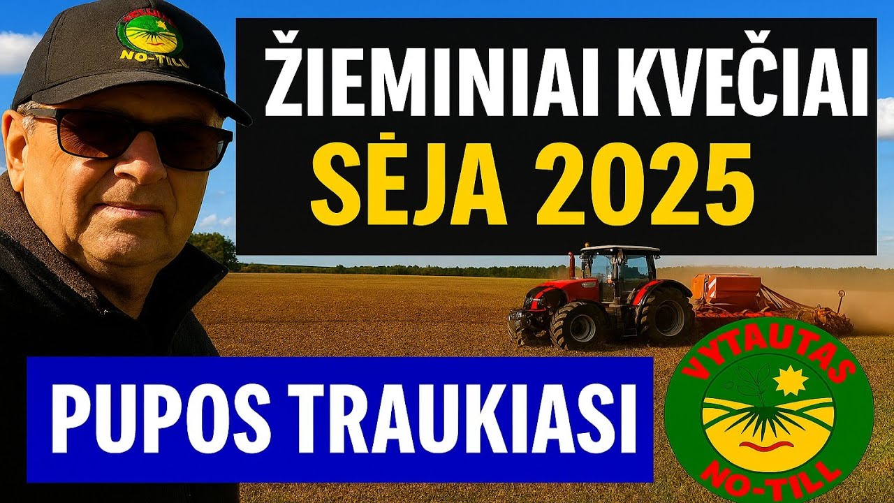 Pupos traukiasi iš mūsų laukų. Žieminių kviečių sėja 2025