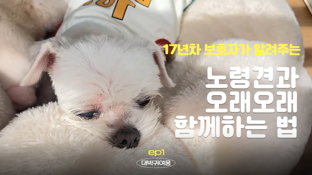 강아지 오래 건강하게 키우는법