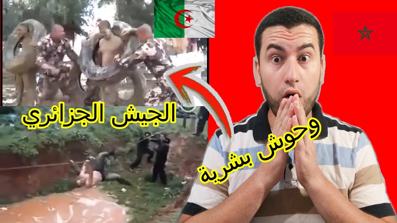 شاهد تداريب أسود الجيش الجزائري | ردة فعل مغربي 😍