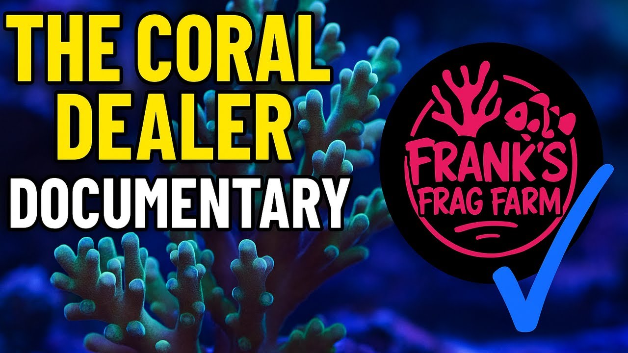 Life Of A Coral Dealer In NYC(you won't believe it)
