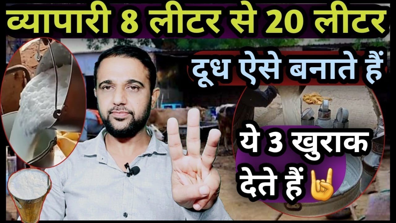 व्यापारी 8 लीटर से 20 लीटर दूध ऐसे बनाते हैं👉ये 3 खुराक देते हैं 👍Dudh Badega 8liter Se 20liter