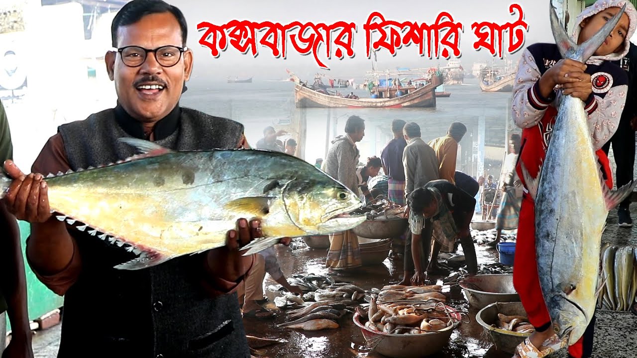 855-সামুদ্রিক মাছের বিশাল বাজার কক্সবাজার ফিশারি ঘাট।-র.ই মানিক চিত্রপুরী  Chitrapuri Krishichitra
