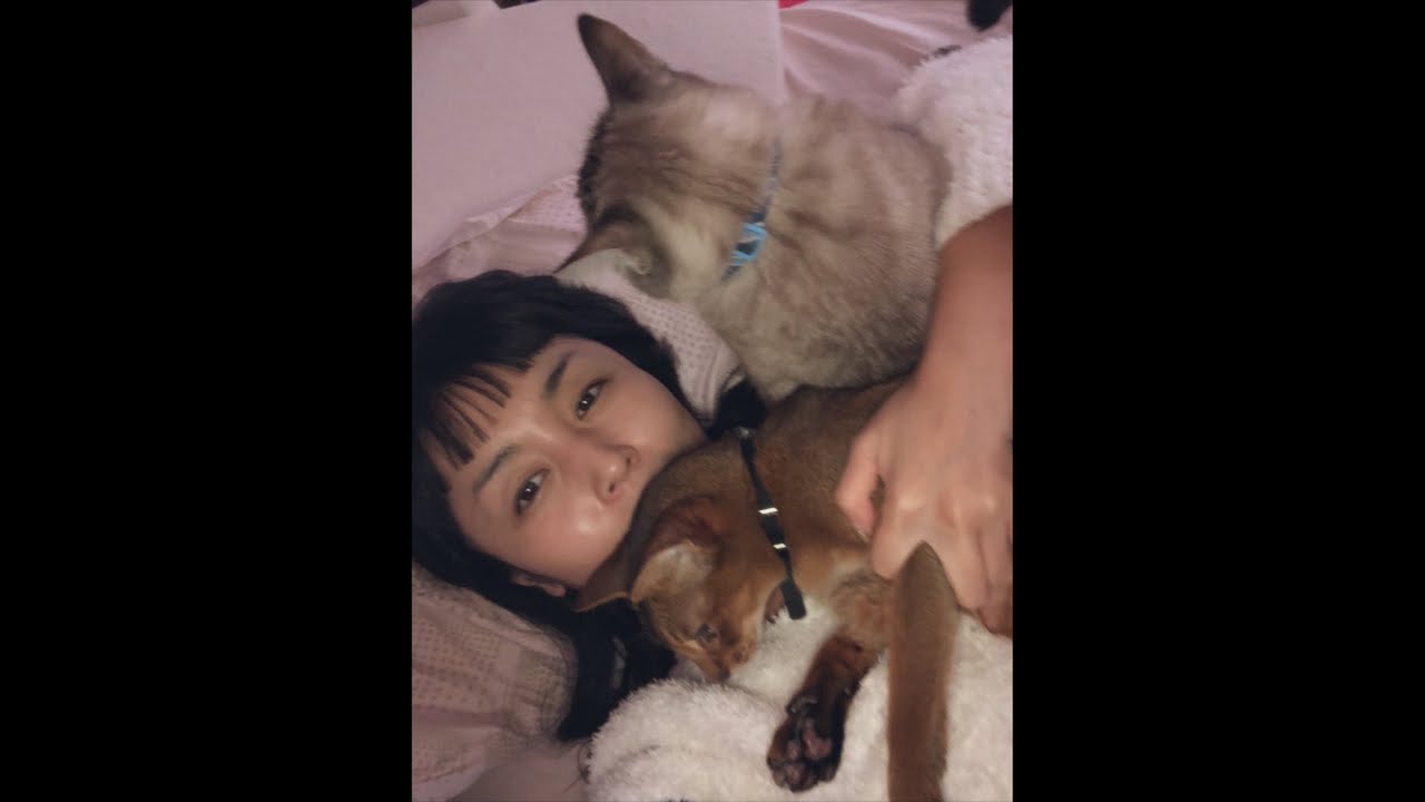 【PET】私、本当に愛してます～petting Tenn and Taro before go to Japan.