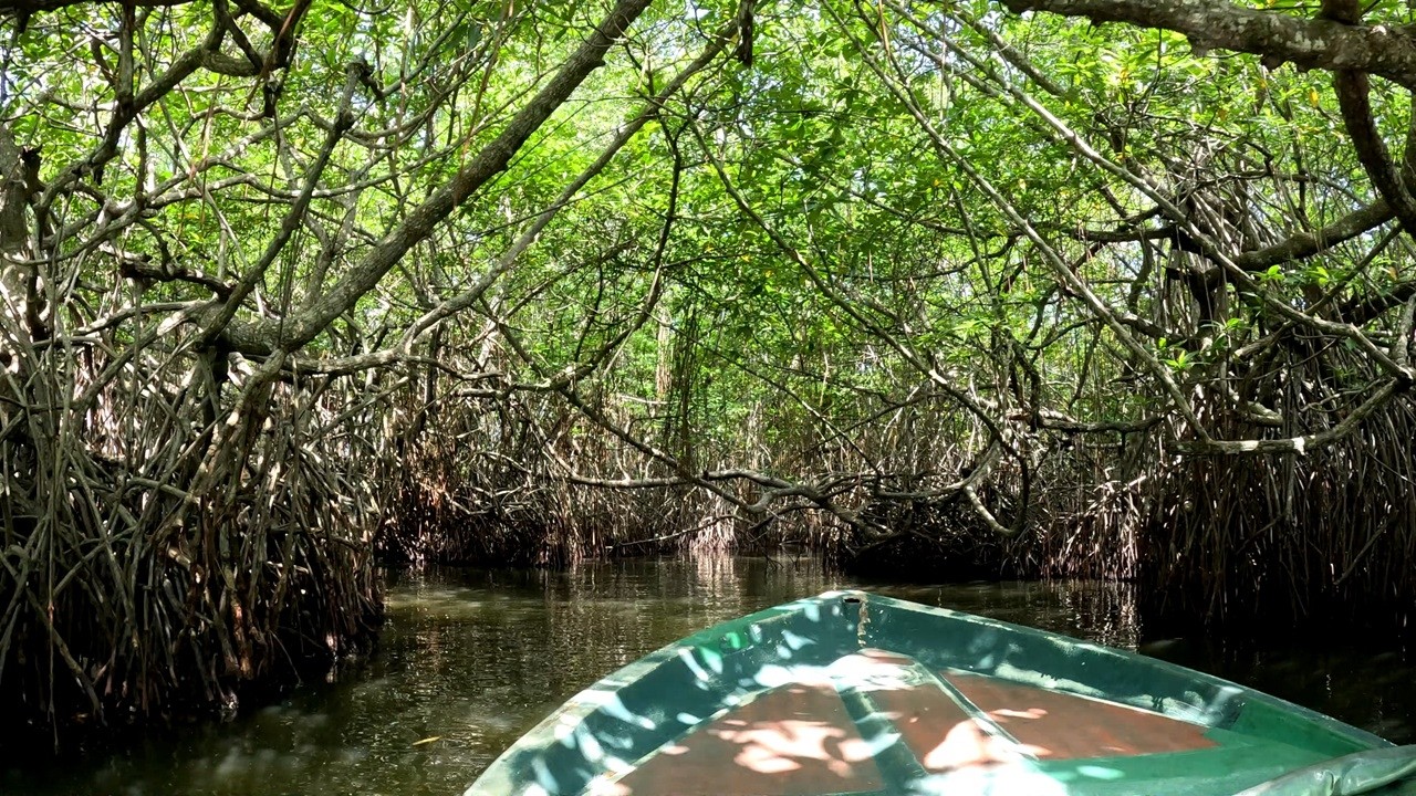 Madu River Safari | Majestic Sri Lanka
