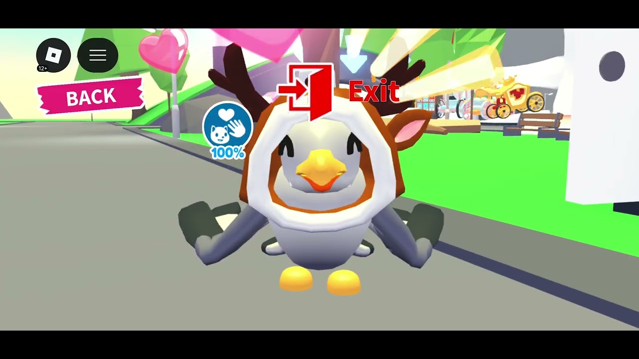 Playing adopt me With My Pet Seagull Kona!