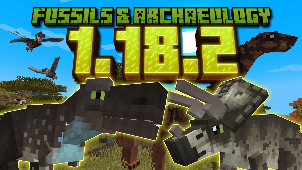 Fossils & Archaeology | 60+ Dinosaur Showcase!