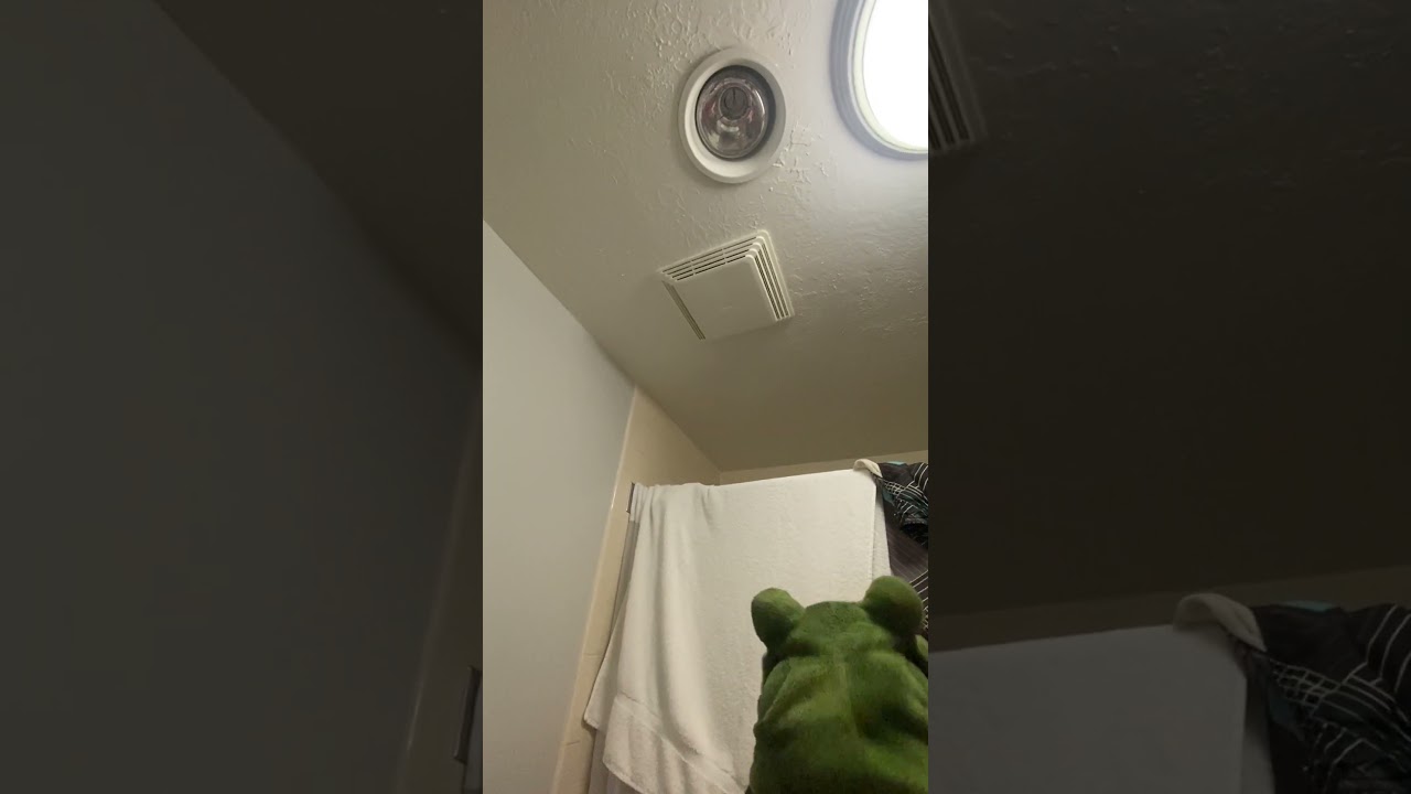 Toad Reacts to Square on Ceiling