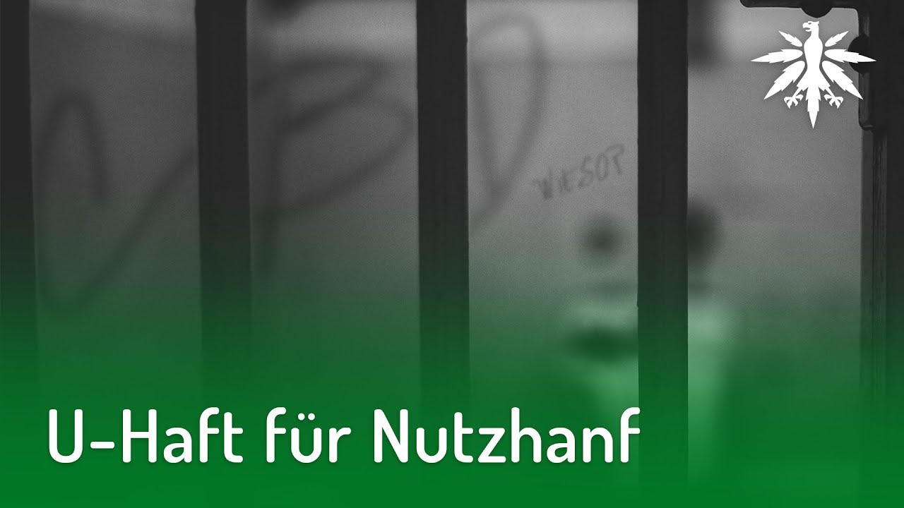 U-Haft f&uuml;r Nutzhanf | DHV-News #180