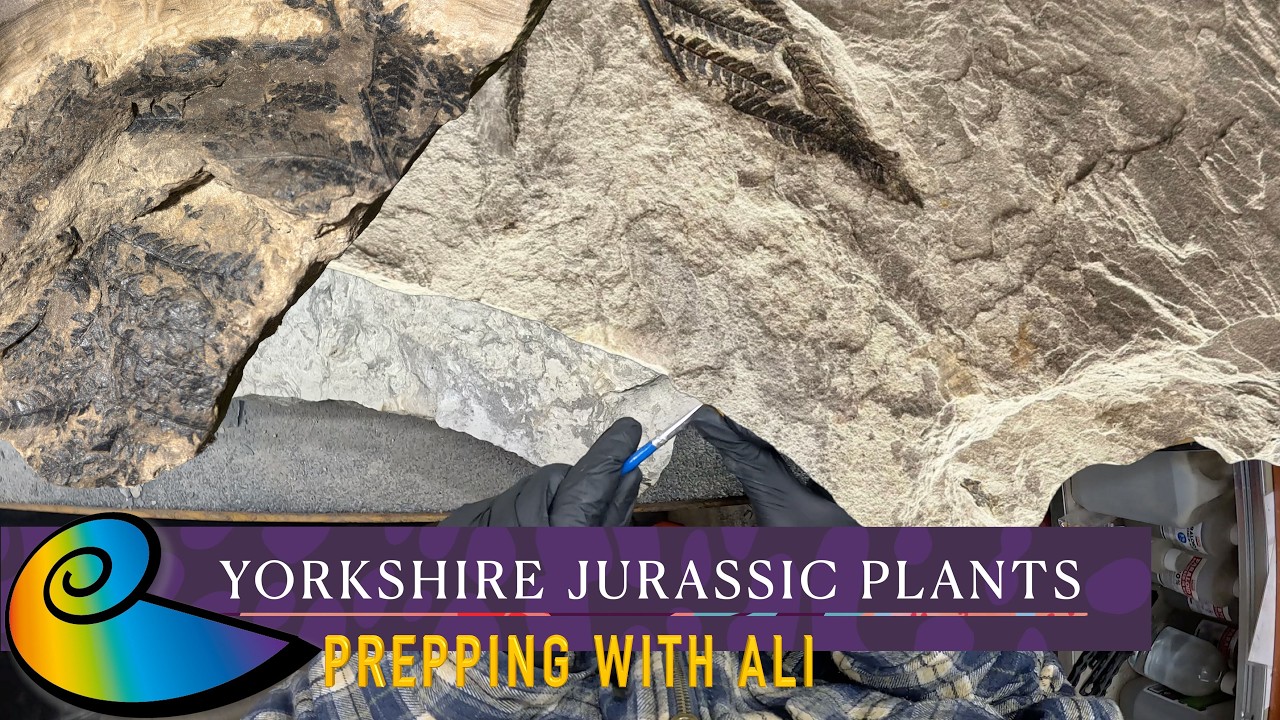 Prepping and Treating Jurassic Yorkshire Plants | Prepping with Ali