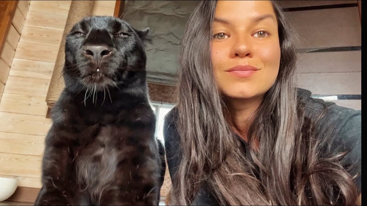 Пополняем запасы с пантерой Луной 😸