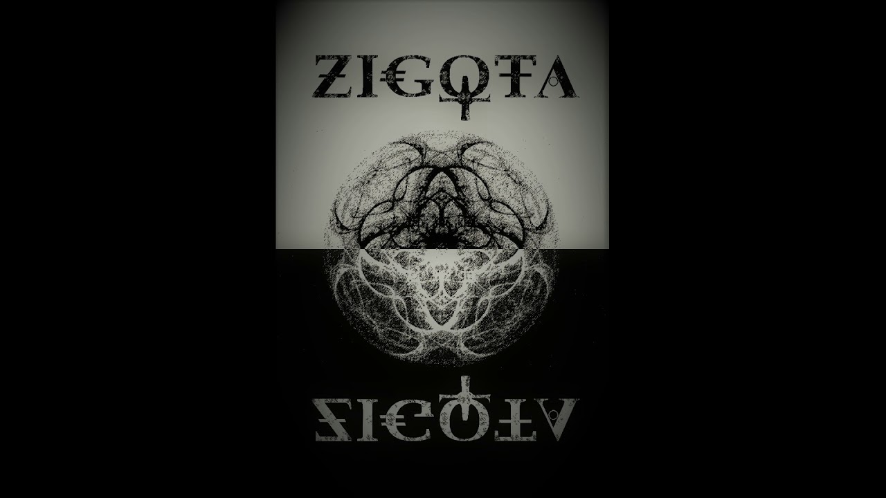 ZiGoTa - Polpa