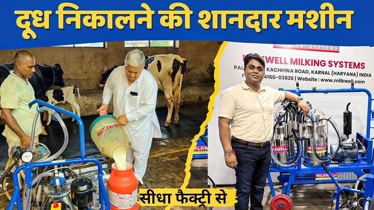 डेयरी फार्म में मजदूर की टेंशन ख़त्म || Milkwell milking system for dairy business
