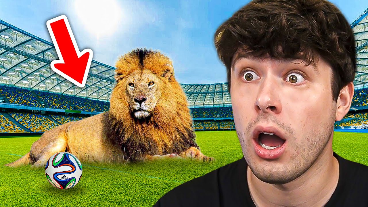 15 Different Animal Pitch Invaders