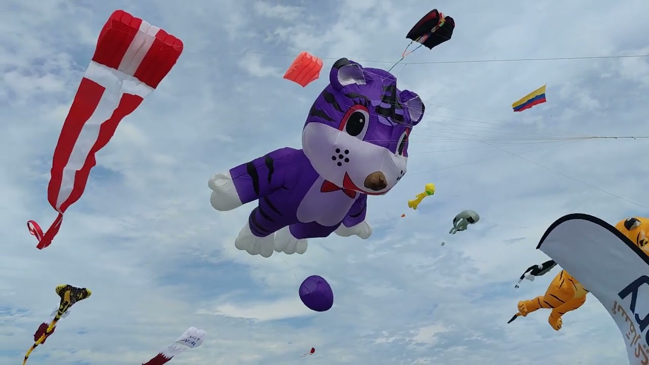 Kite Fest @ Doha Port January 26, 2024