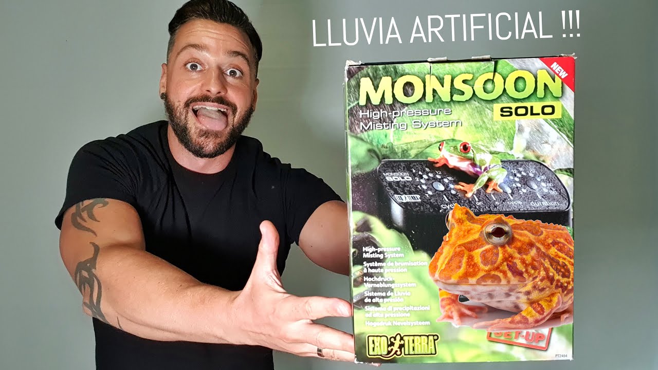 Esta máquina crea LLUVIA ARTIFICIAL 😱 | Terrario Rana Pacman | Monsoon Solo Exoterra