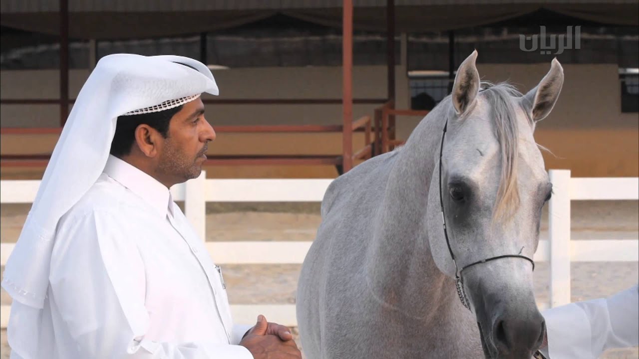 بنات الريح - الحلقة الحادية عشر - 07-11-2015