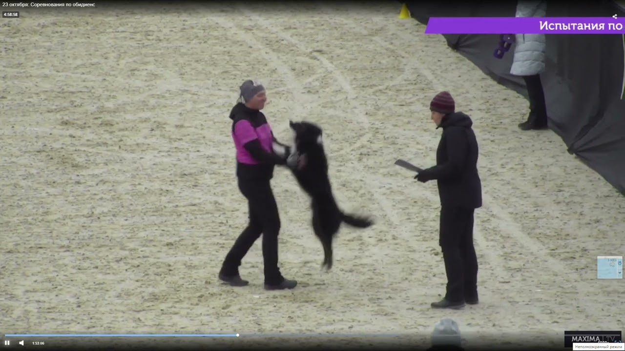 Дип самое позитивное выступление