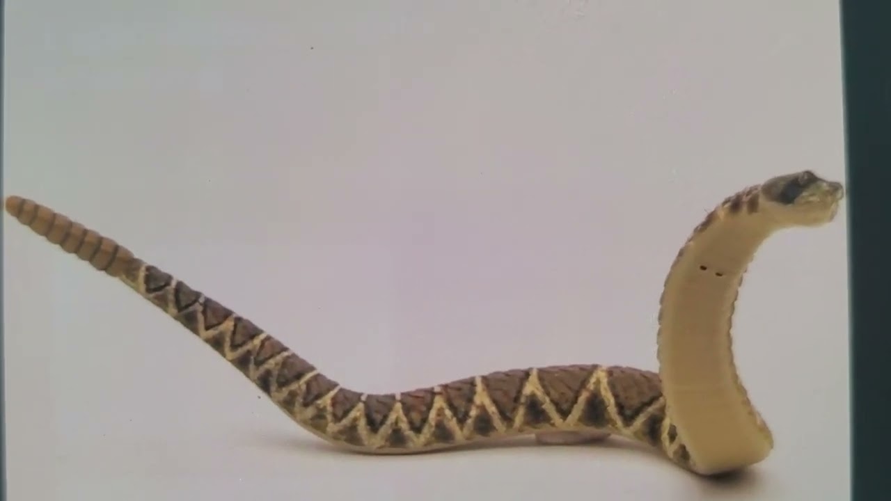 The Wild Robot 2; Wrestler The Rattlesnake SFX