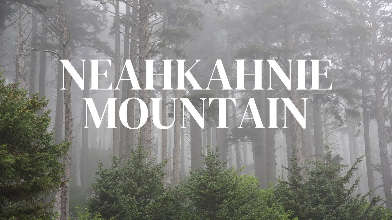 Climbing to the Summit in a Storm | Neahkahnie Mountain | Oregon Coast