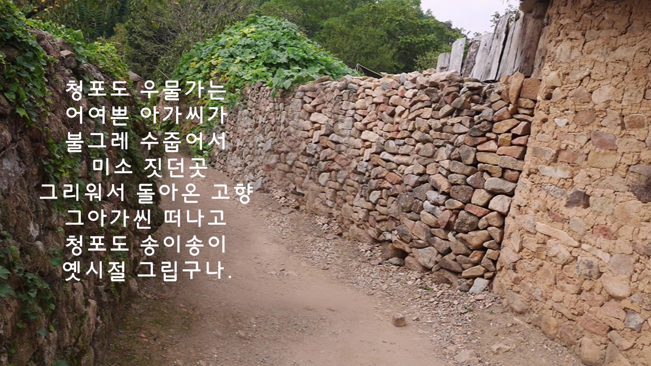 청포도 고향(故鄕) - 아코디언 연주 / 旅人 ［불그레 수줍어서 미소 짓던 곳...］