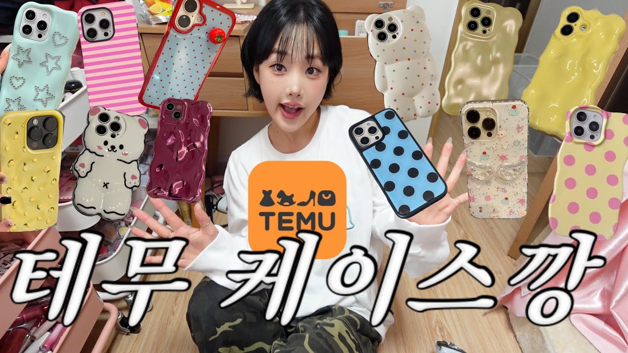 테무에서 5천원이면 짱 좋은 케이스 건진다능