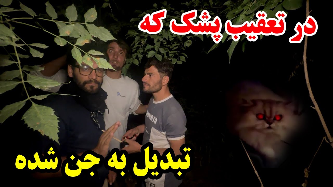 در جستجوی پشک که به جن تبدیل شده ❌ ترسناک ترین تصاویر ثبت شده از گربه جن زده 🔞