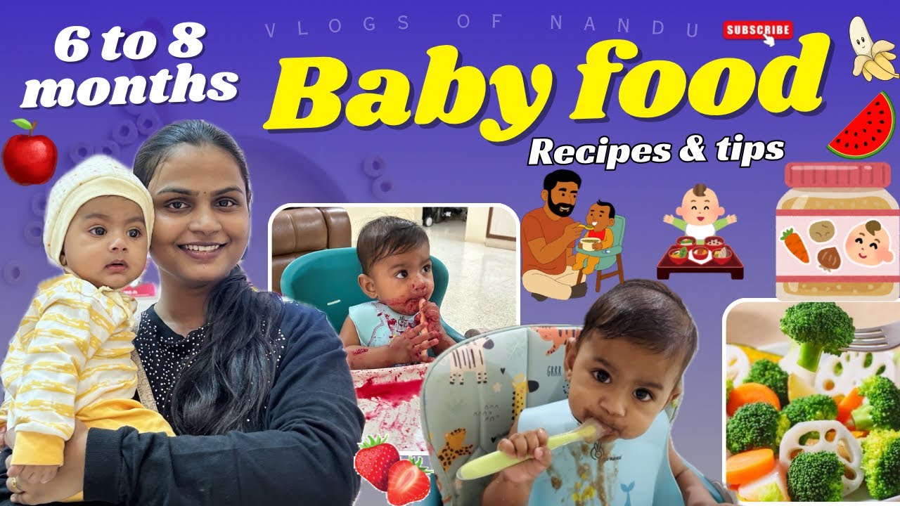 6 to 8 months Baby food🍱 |what my baby eats?|Baby solids journey |Best high chair & feeding products