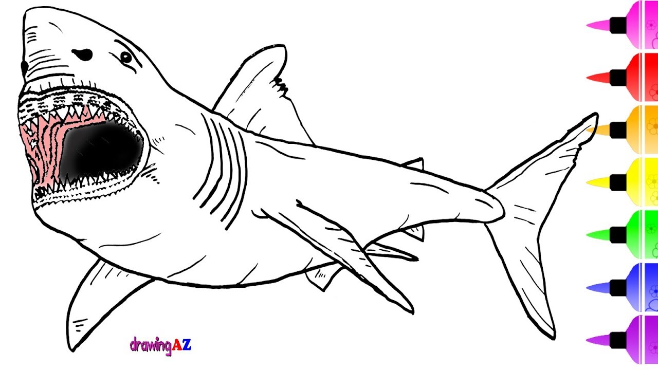 White Shark Drawing and Coloring Page & How to Draw a Dinosaur for  Coloring ✴