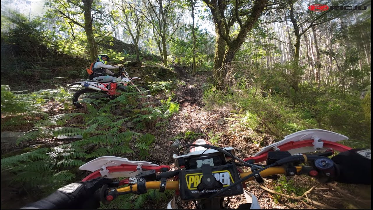 This Ride Made me QUIT | Rieju Mr300