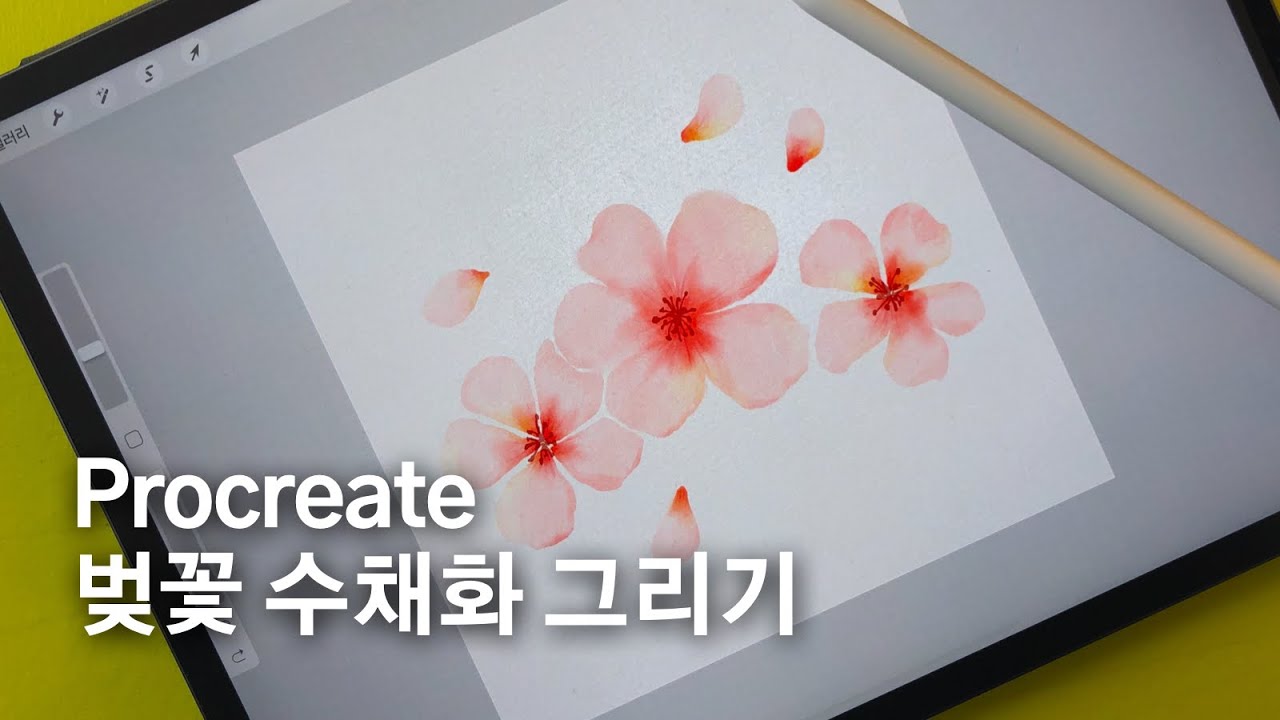 procreate watercolor, Pocreate 벚꽃 그리기 | 프로크리에이트 수채화, 아이패드 그림그리기