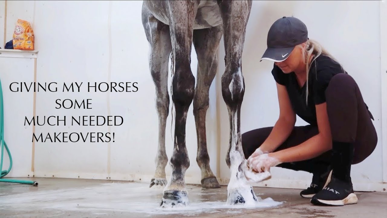 MY HORSES GET MAKEOVERS (SATISFYING)