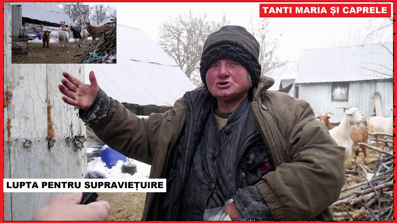 Cum TRĂIESC românii ABANDONAȚI? | Tanti Maria, caprele și FRIGUL | Despre SINGURĂTATE și credință